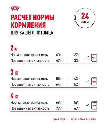 ROYAL CANIN Dry food for dogs of the breed Yorkshire Terrier 0.5 kg - Buy Online on GoSupps.com