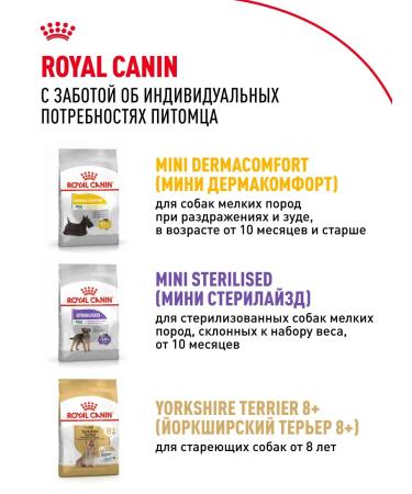 ROYAL CANIN Dry food for dogs of the breed Yorkshire Terrier 0.5 kg - Buy Online on GoSupps.com