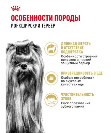 ROYAL CANIN Dry food for dogs of the breed Yorkshire Terrier 0.5 kg - Buy Online on GoSupps.com