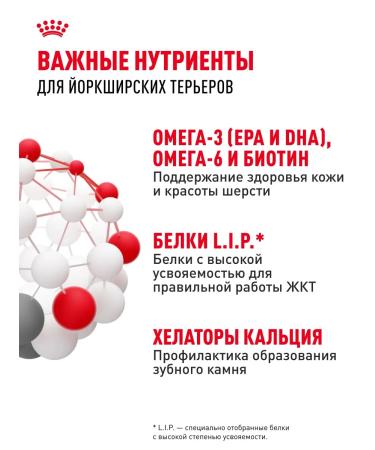 ROYAL CANIN Dry food for dogs of the breed Yorkshire Terrier 0.5 kg - Buy Online on GoSupps.com