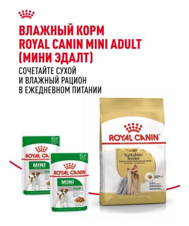 ROYAL CANIN Dry food for dogs of the breed Yorkshire Terrier 0.5 kg - Buy Online on GoSupps.com