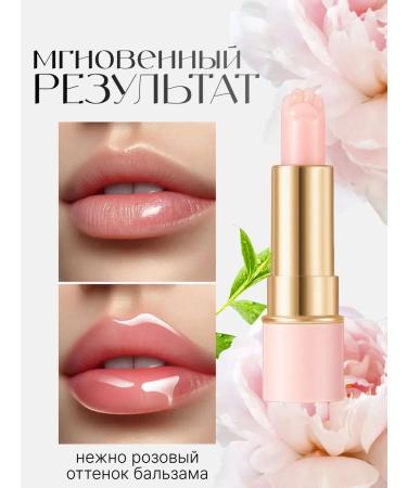 BEAUTIBEE Lip balm with a paw 2 pieces - Buy Online on GoSupps.com