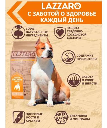 Lazzaro Dry food for dogs of medium breeds - Buy Online on GoSupps.com