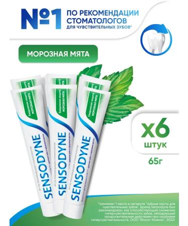 Sensodyne Toothpaste daily protection frosty mint 65 g 6 pcs