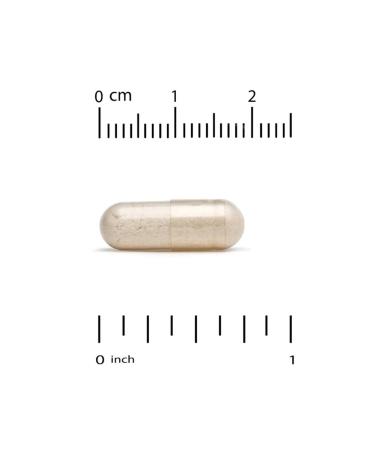 California Gold Nutrition L-theanine 100 mg 60 plant capsules - Buy Online on GoSupps.com