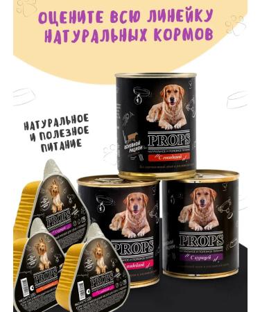 Props Dog food is wet with beef 100 g 16 pcs - Buy Online on GoSupps.com