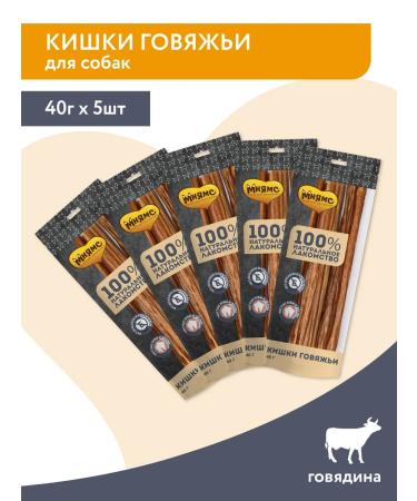 Mnyams Treat for dogs of intestines beef 40g x 5 l