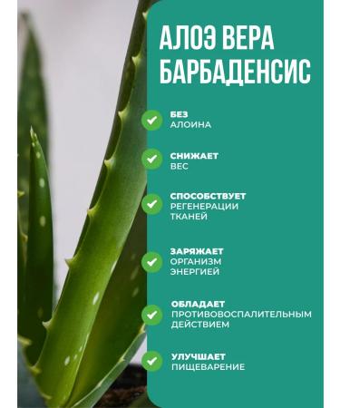 Nutriheal Aloe drinking liquid 1 000 ml detox and weight loss - Buy Online on GoSupps.com