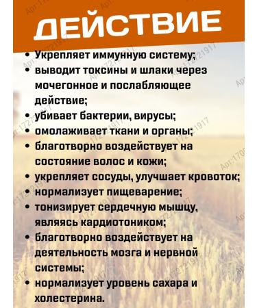 Govindaya Amalaki amalaki source of vitamin C 120 tab - Buy Online on GoSupps.com