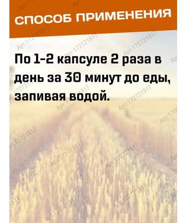 Govindaya Amalaki amalaki source of vitamin C 120 tab - Buy Online on GoSupps.com