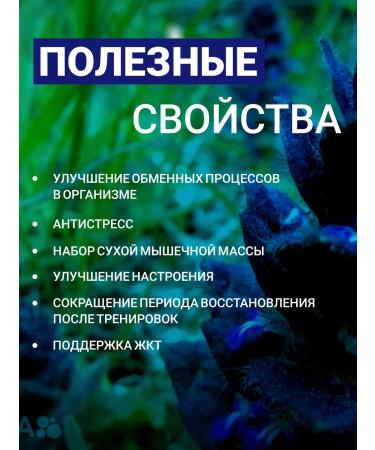 Mushrooms Today Ayuga Turkestan 10% 60 capsules 500 mg - Buy Online on GoSupps.com