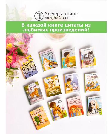 Bookshelf Gift tea "About dogs" green - Buy Online on GoSupps.com