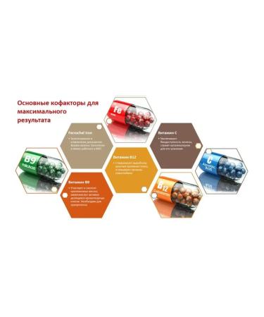 Natures Plus HEMA-PLEX complex of vitamins with prolonged release - Buy Online on GoSupps.com