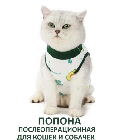 Popon postoperative for cats and dogs of small breeds