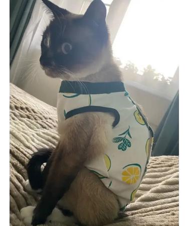 Popon postoperative for cats and dogs of small breeds - Buy Online on GoSupps.com