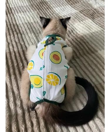 Popon postoperative for cats and dogs of small breeds - Buy Online on GoSupps.com