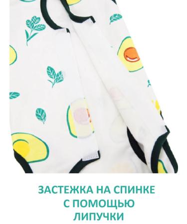 Popon postoperative for cats and dogs of small breeds - Buy Online on GoSupps.com