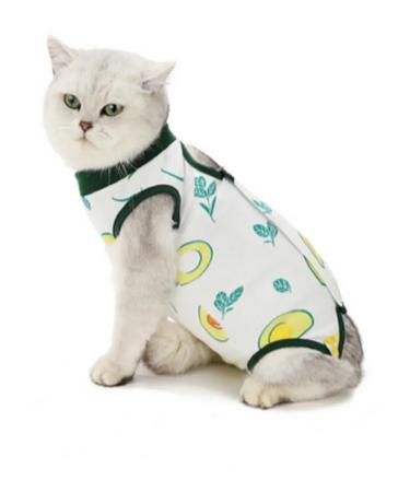 Popon postoperative for cats and dogs of small breeds - Buy Online on GoSupps.com