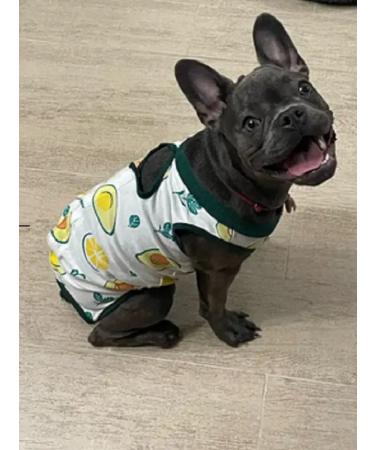 Popon postoperative for cats and dogs of small breeds - Buy Online on GoSupps.com