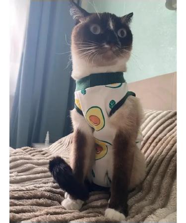 Popon postoperative for cats and dogs of small breeds - Buy Online on GoSupps.com