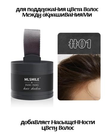 SIEAI Powder for painting hair eyebrows masking gray hair - Buy Online on GoSupps.com
