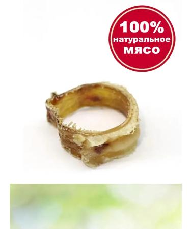 CONJOY for dogs beef trachea cut bank 300 g 2 pcs - Buy Online on GoSupps.com