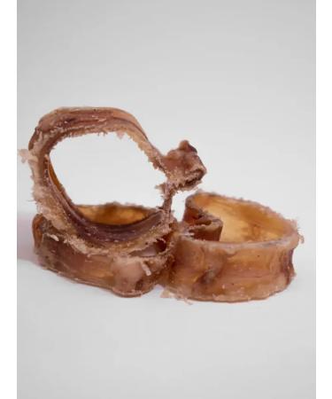 CONJOY for dogs beef trachea cut bank 300 g 2 pcs - Buy Online on GoSupps.com