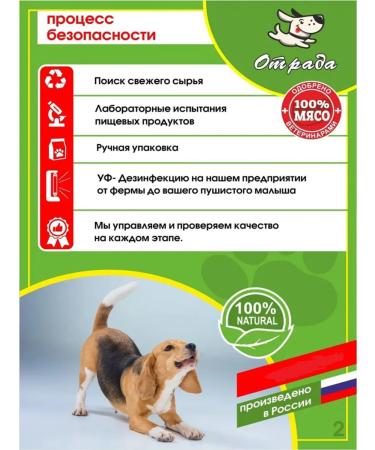 CONJOY for dogs beef trachea cut bank 200 g 2 pcs - Buy Online on GoSupps.com