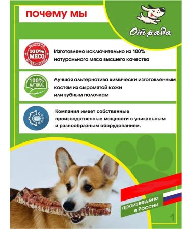 CONJOY for dogs beef trachea cut bank 200 g 1 pcs - Buy Online on GoSupps.com