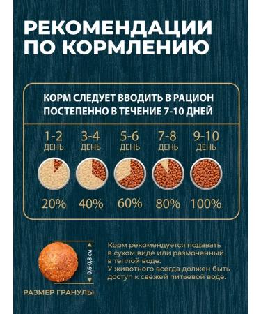 Native feeds Dry food for cats chicken berries 1.5 kg 4 pcs - Buy Online on GoSupps.com