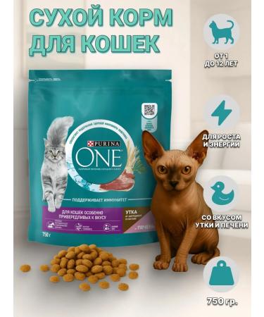 PURINA ONE Dry food of purin for fastidious duck liver 750 gr.
