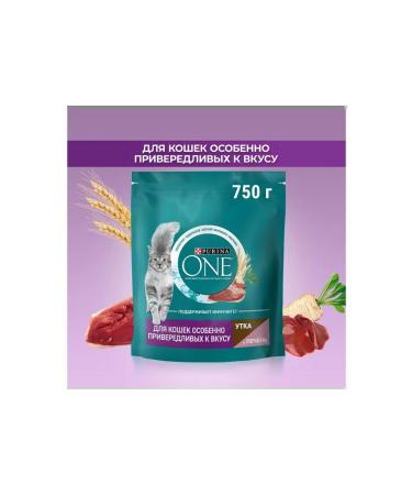 PURINA ONE Dry food of purin for fastidious duck liver 750 gr. - Buy Online on GoSupps.com