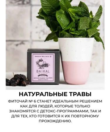 Health from Siberia Fitocha from wild herbs liver protection - Buy Online on GoSupps.com