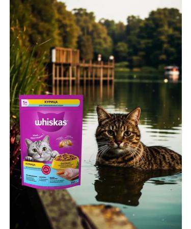 WHISKAS Dry food for sterilized cats pillows chicken 800g - Buy Online on GoSupps.com