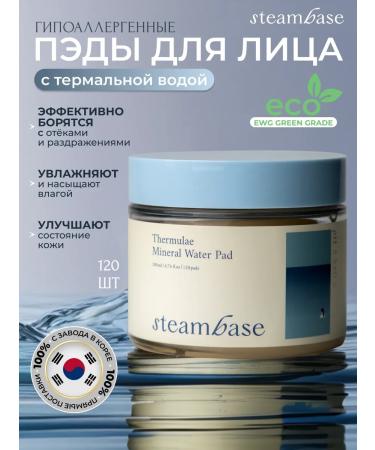 STEAM BASE Korea's faces. 120 pcs