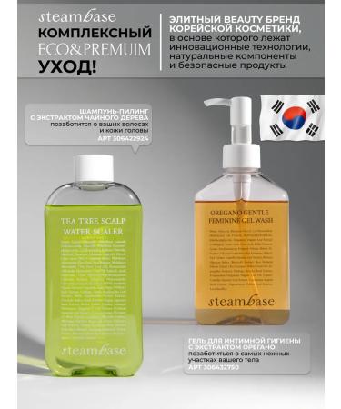 STEAM BASE Korea's faces. 120 pcs - Buy Online on GoSupps.com