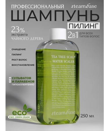 STEAM BASE Hair shampoo female Korea. 250 ml