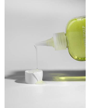STEAM BASE Hair shampoo female Korea. 250 ml - Buy Online on GoSupps.com