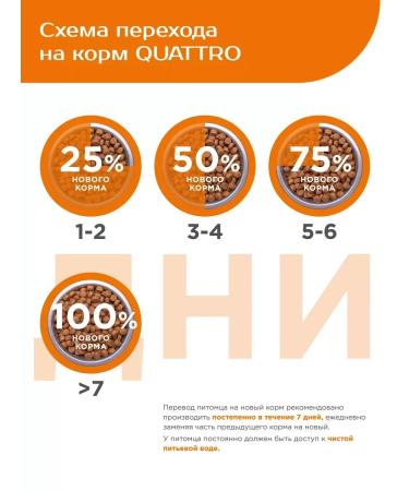 Quattro Large -breeding dogs with turkey turkey 12 kg - Buy Online on GoSupps.com