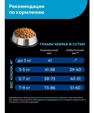 Quattro Feed for cats of the breed Siberian cat with salmon 2 kg - Buy Online on GoSupps.com