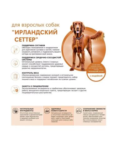 Quattro Dry food for dogs of the breed Irish setter turkey 12kg - Buy Online on GoSupps.com