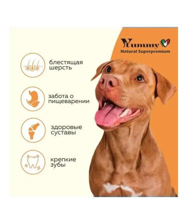 Yummy Linea Feed for puppies of small and miniature rocks turkey 8 kg - Buy Online on GoSupps.com