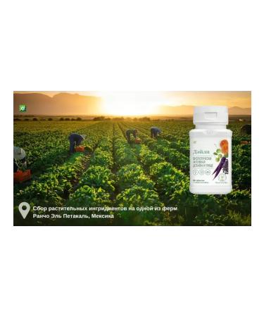 NUTRILITE Vitamins for every day Daily 90Tab