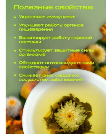 Welding&Co Chinese green geisha with fragrant centers - Buy Online on GoSupps.com