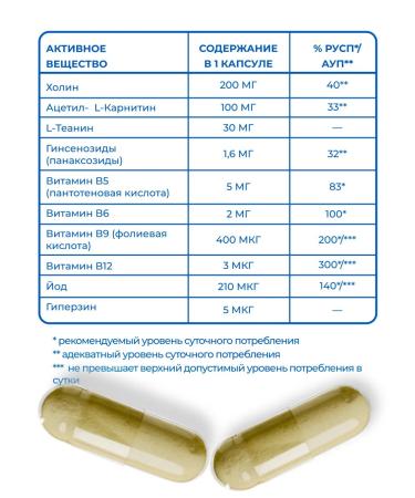 Vitamin Garden LE Multi complex for brain function 60 capsules - Buy Online on GoSupps.com