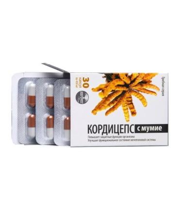 Alfit Plus LLC Cordyceps with mummy mushroom series N30 caps 0.45g - Buy Online on GoSupps.com