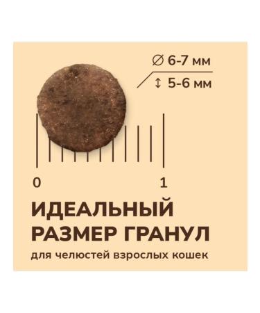 NOW'KITCHEN Feed for cats with turkey duck salmon and vegetables 7.26 kg - Buy Online on GoSupps.com