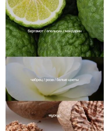 AROMENAGE Washing gel + for vegetables and fruits 0.45l x 3pcs - Buy Online on GoSupps.com