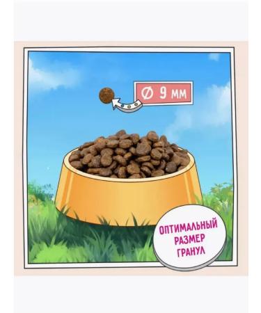 Zillii Dry food Sensitive Digest Cat White Fish 2kg - Buy Online on GoSupps.com