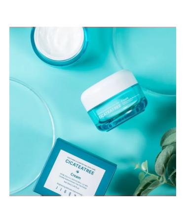 Jigott Facial cream with centella and tea tree extracts 50 ml - Buy Online on GoSupps.com